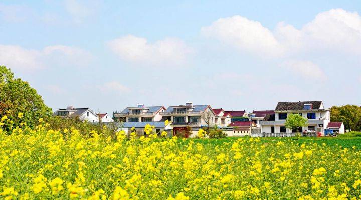 河南焦作市發(fā)文推進農(nóng)村人居環(huán)境整治、農(nóng)村污水治理、黑臭水體治理