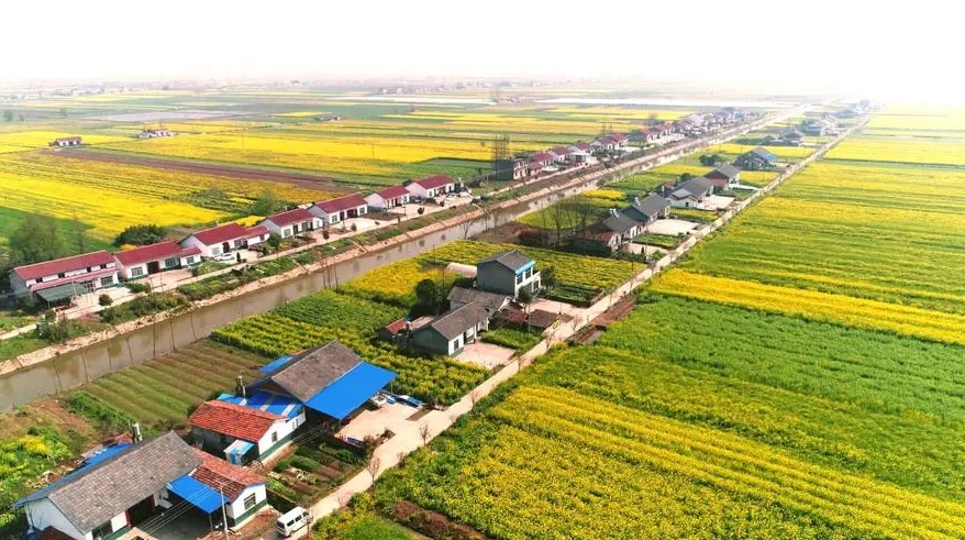 兩部門印發(fā)《關于進一步推進農(nóng)村生活污水治理的指導意見》